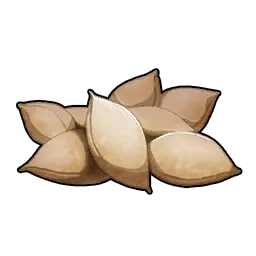 PotatoSeedPotatoes