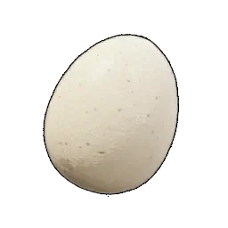 蛋