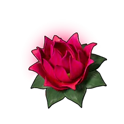 力量之莲（小）
