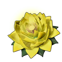 耐力之莲（大）