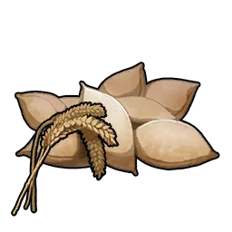 小麦种子