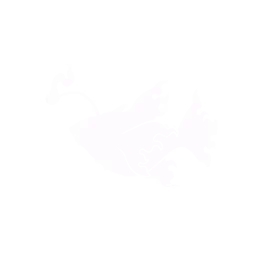 大海的霸主